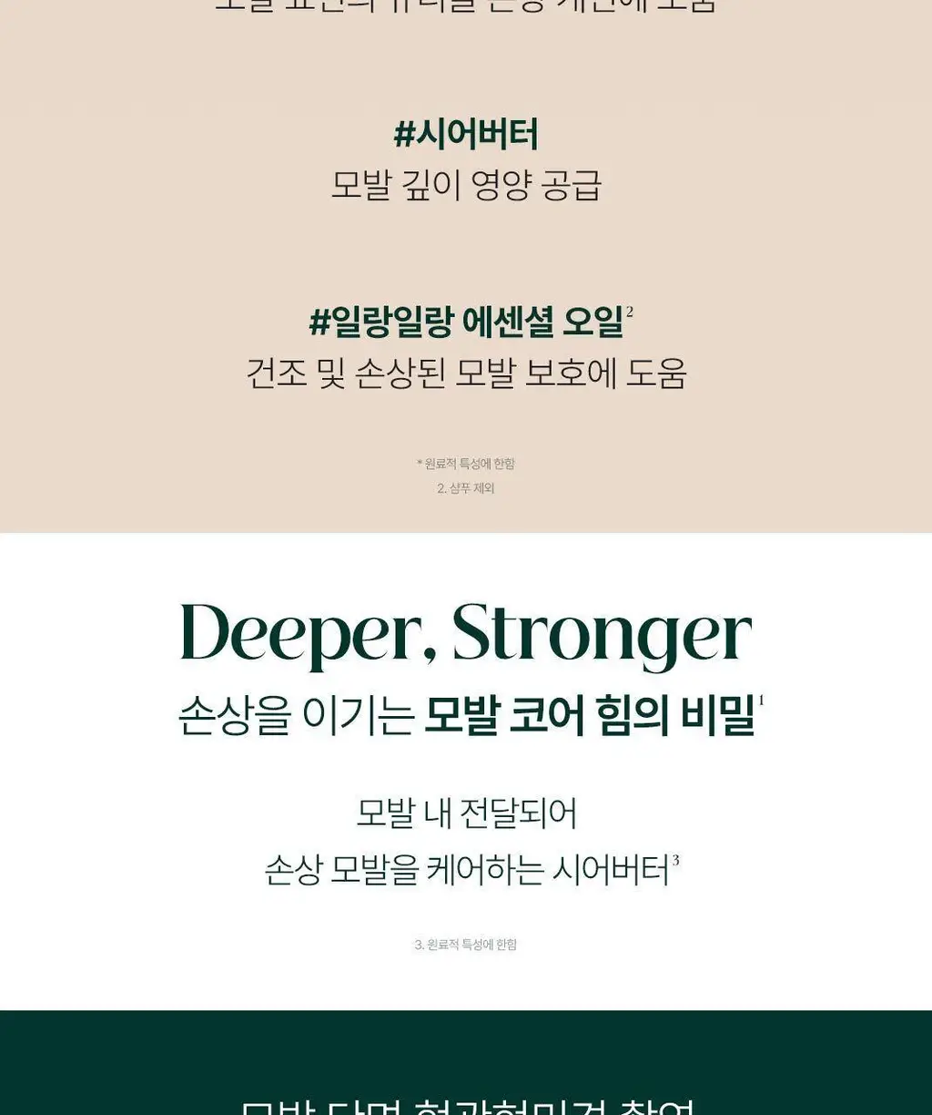 [손상모에센스] 르네휘테르 까리떼 프로페셔널 에센스 100ml (듀오/단품) 상세페이지 7